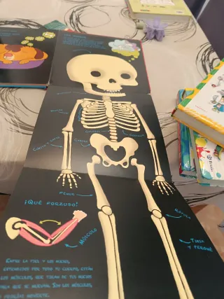 Mi primer libro de anatomía (Spanish Edition)