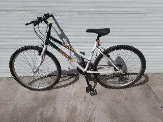 Bicicleta de montaña blanca y verde