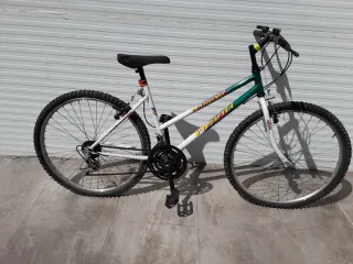 Bicicleta de montaña blanca y verde