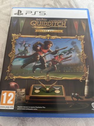 PS5 Harry Potter Campioni di Quidditch Deluxe