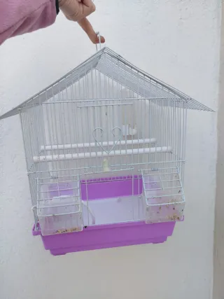Jaula para pájaros blanca y morada