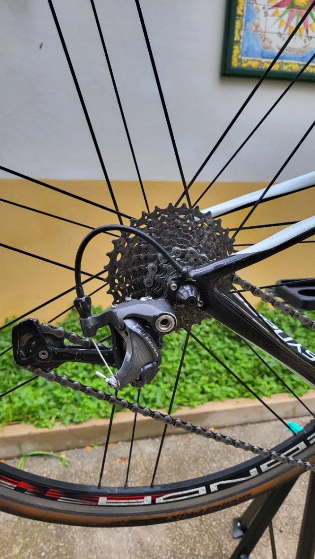 Cannondale Synapse Talla 48