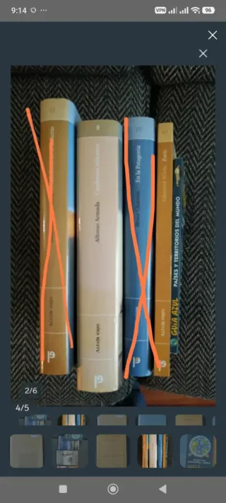 Lote de libros de viajes