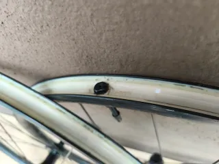 Ruedas Gravel Bontrager Paradigm SL