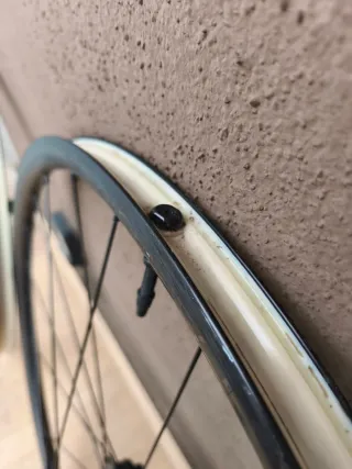 Ruedas Gravel Bontrager Paradigm SL