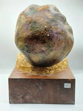 Cabeza de Escultura Detallada