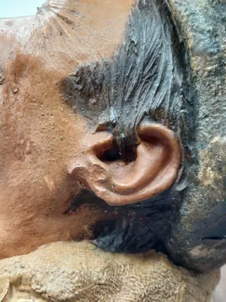 Cabeza de Escultura Detallada