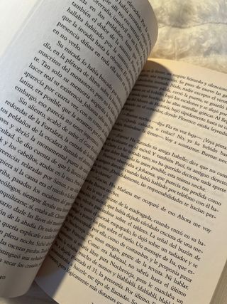 La promesa del ángel (Spanish Edition)