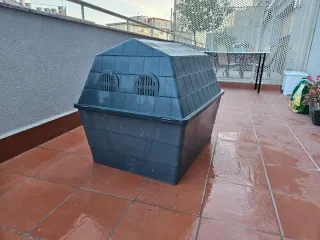 Caseta perro grande