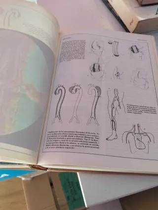 Manual de medicina y enfermería