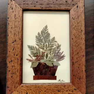 Set 3 Cuadros Flores Secas Marco Madera