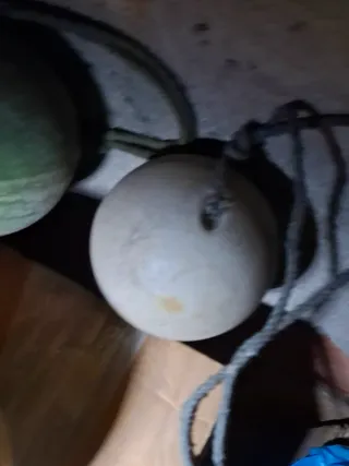 Bollas de pesca para redes