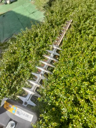 Cortasetos Mcculloch HT 5622