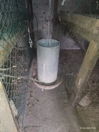 Mangiatoia metallica per animali intero lotto 3