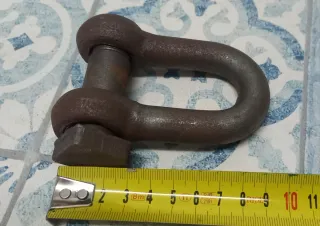 Tesoros del mar recuperados del fondo marino