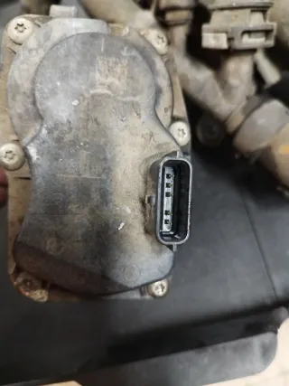 Válvula EGR NV400 motor M9T C7