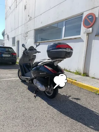 Honda Fes Pantheon Negra