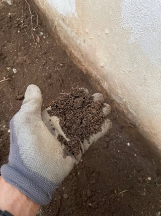 Se regala tierra pata huerto o jardin