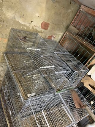 Jaulas metálicas para pájaros