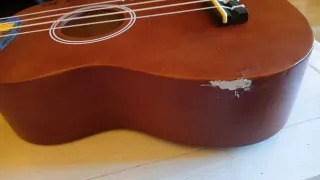 Ukulele marrone con custodia nera