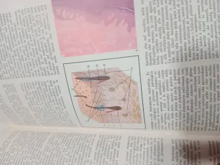 Libro Dizionario Medico Illustrato