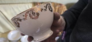 13 Platos y Cuenco Loza Pickman La Cartuja Sevilla