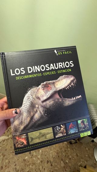 Libro dinosaurios infantil ilustrado