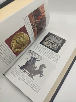 Bárbaros, Roma no se destruyó en un solo dia libro