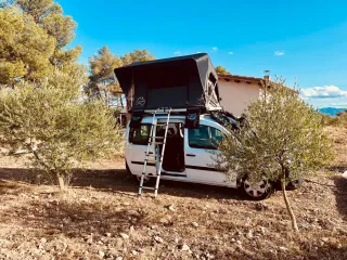 Tienda para techo de coche SHEEPIE !!! OFERTA!!!!!