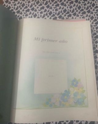Dos Libros Mi Primer Año Bebé Azul y Rosa