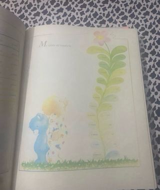 Dos Libros Mi Primer Año Bebé Azul y Rosa