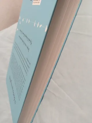 13 locuras que regalarte (Spanish Edition)