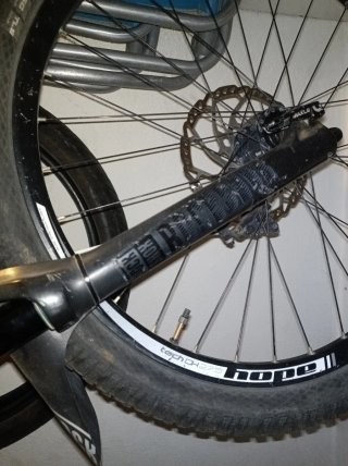 Bici Bird Averis enduro