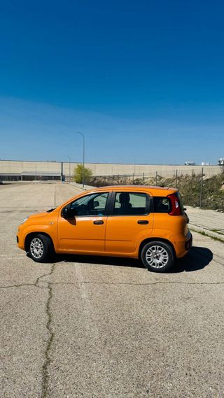 ⚡️Fiat panda hybrid⚡️PEGATINA ECO 🟢 1.0 70cv 🟢 año 2