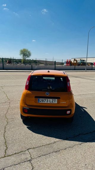 ⚡️Fiat panda hybrid⚡️PEGATINA ECO 🟢 1.0 70cv 🟢 año 2