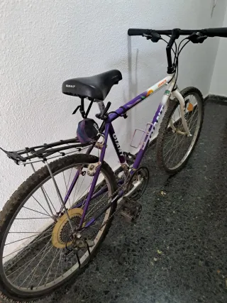 Bicicleta Giant Granite Morada