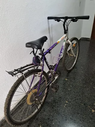 Bicicleta Giant Granite Morada