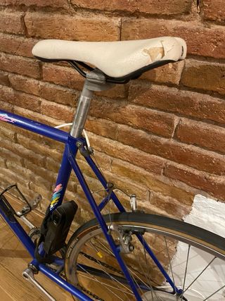 Bicicleta Vintage Peugeot Azul