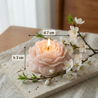 Candela Soia Bio Profumo Pesca (x2)