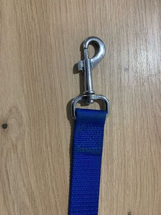 Cinturón de seguridad para perro