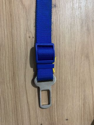 Cinturón de seguridad para perro