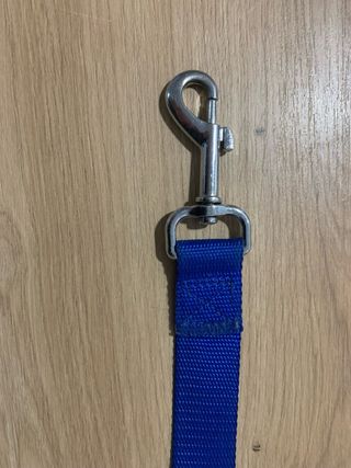 Cinturón de seguridad para perro