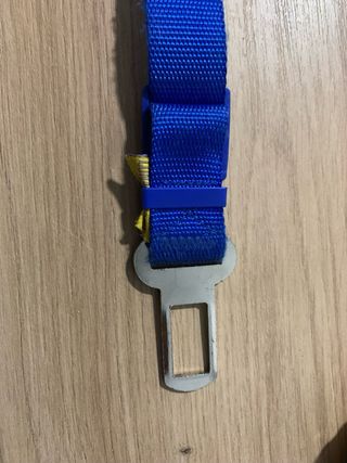 Cinturón de seguridad para perro