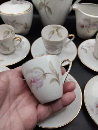 🇩🇪 Juego Café Porcelana Alemana Vintage Flores