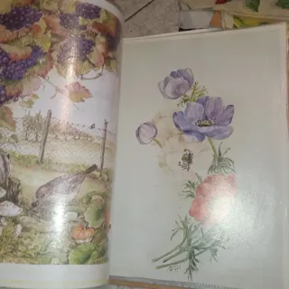 Manuale e immagini per decoupage