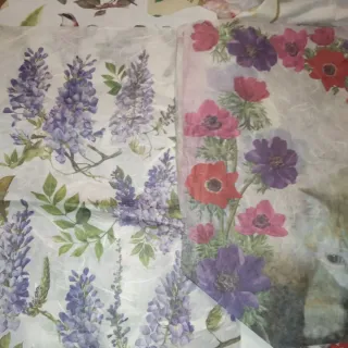 Manuale e immagini per decoupage