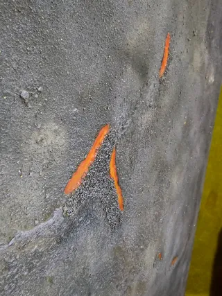 Tablero escenografía Warhammer,  mas en mi perfil.