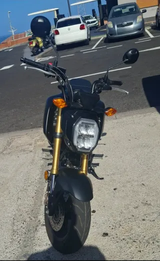 Honda MSX Grom 125 Negra