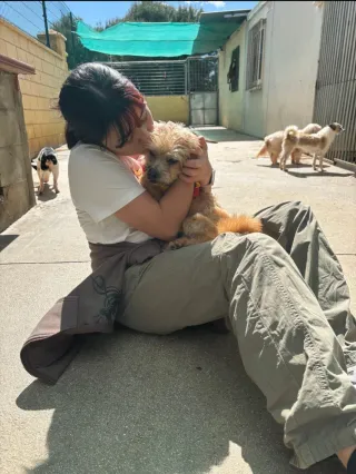 Paseadora de perros