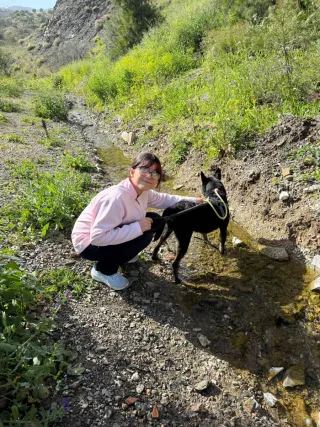 Paseadora de perros